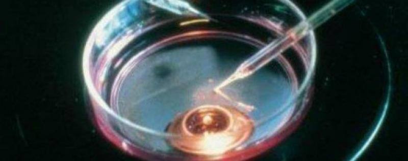 Fecondazione eterologa, aumentano le richieste in Italia: +18% nel 2017, molte coppie costrette però a cambiare regione